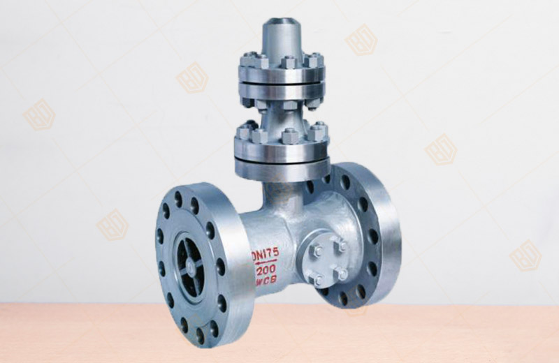 ����ֹ���y